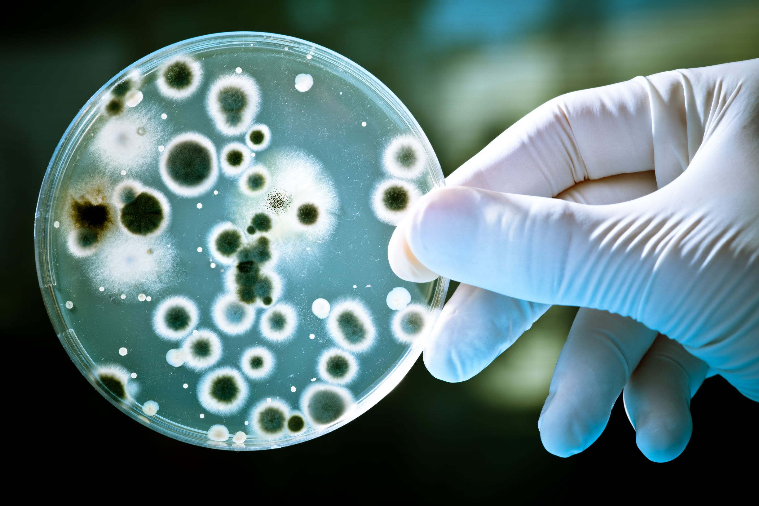 Preview of Antimicrobial Actives